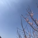 공주무릉농원