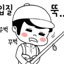 한방호 이미지