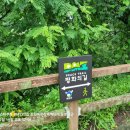 꺼먹다리펜션 이미지