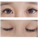 구암동595 | 구암동 속눈썹 연장 후기 " 쁨"