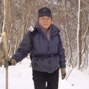 소금 Daum카페