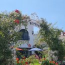 (주)뜰안에 이미지