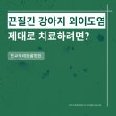 더 포레 동물병원 이미지