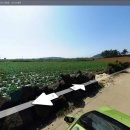 신도리-5 이미지