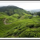 무진랜드&호텔 이미지