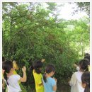 제일초등학교(병설) 이미지