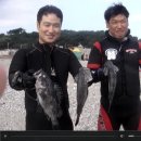 문희수잠수교실