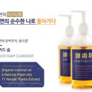 원더셀