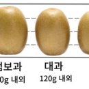 야물딱농산