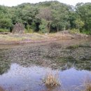 동백동산 이미지