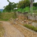 나산조경 티스토리