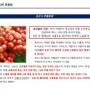 디플 이미지