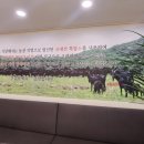 함평흑염소 이미지