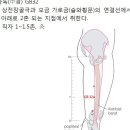 20-2.족소양담경2 조회수 4.8천회 6년 전 이미지