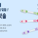 그린기프트서울 이미지