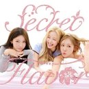 SECRET(시크릿)