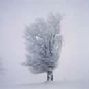 바람고갯길 이미지