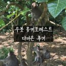 우붓 몽키포레스트 다녀온 후기 (각기 다른 반응의 초4,초6,28개월)