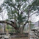 양화마을 이미지