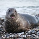 대명10동행정복지센터 이미지