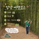 [워킹맘 여행] 🌿초록초록한 담양 소쇄원, 죽녹원, 메타세쿼이아길 여행 후기