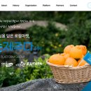 제주오픈마켓