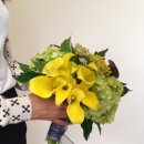 카라flower 이미지