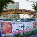 고엔참치 이미지