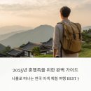 올레벗게스트하우스 | 2025년 혼행족을 위한 완벽 가이드: 나홀로 떠나는 한국 이색 체험 여행 BEST 7 완벽 가이드