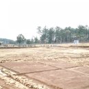 곽금초등학교 이미지