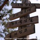 장승농원