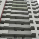 산호동335 이미지