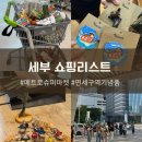 뉴시티약국 | 세부 기념품 쇼핑리스트 (메트로 슈퍼마켓 아얄라몰, 면세구역 기념품샵)