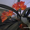 영주예치과의원 이미지