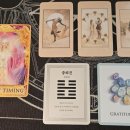 스타타로(Star tarot)