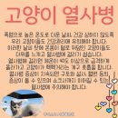 주안동물병원 이미지