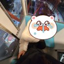 문화바다PC게임랜드 | 월미도 대관람차 후기 월미짱랜드 문아이 야경 가격 무서움 솔직 리뷰