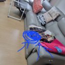 CU진해신항애플점 | 쇼파 목대부러진증상 나무부러짐 수리하는방법 부영신항