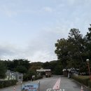 도도1농장 | 2025년 11월 임산부의 청주동물원 나들이 후기