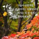 수림결혼정보 이미지
