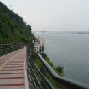 산호대로-4 이미지