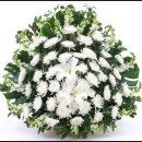 대월면-01 이미지