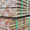 (주)계림조경자재 | 수목 식재 시 필수 조경자재 '지주목' 판매업체 (주)계림조경자재