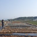 용전농장 이미지