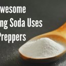 36 최고 베이킹 소다 Preppers에 사용 이미지
