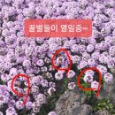 소회당 이미지