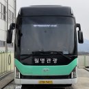 월명관광여행사 이미지