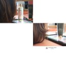 금빛스켈프 | 두피가려움샴푸 미스코리아 두피냄새제거