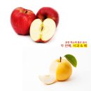 갈증해소