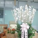 버티헤어 이미지